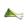 LEEKS (2PC)