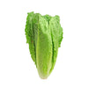 LETTUCE ROMAINE