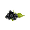 BLACKBERRIES 6OZ - Blackberries Free Delivery West Vancouver